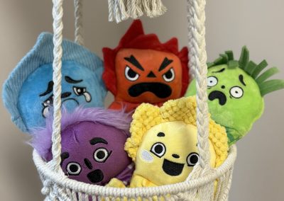IMG_0566 -Naples Florida Basket with emotion plushies used during Play Therapy Sessions
