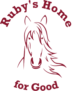 Simple Logo equine therapy session, man riding a horse in a dirt field