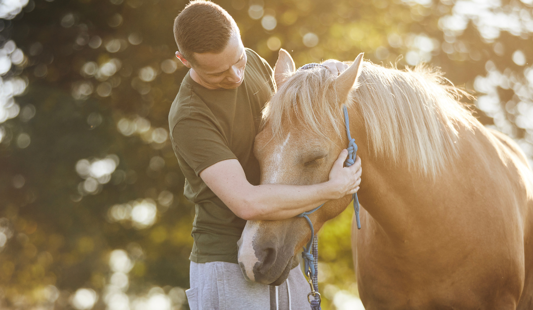 The Healing Bond Between Humans and Horses: A Guide to Equine Assisted Therapy