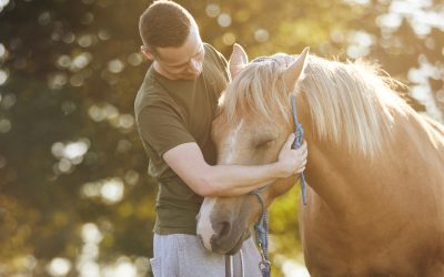 The Healing Bond Between Humans and Horses: A Guide to Equine Assisted Therapy